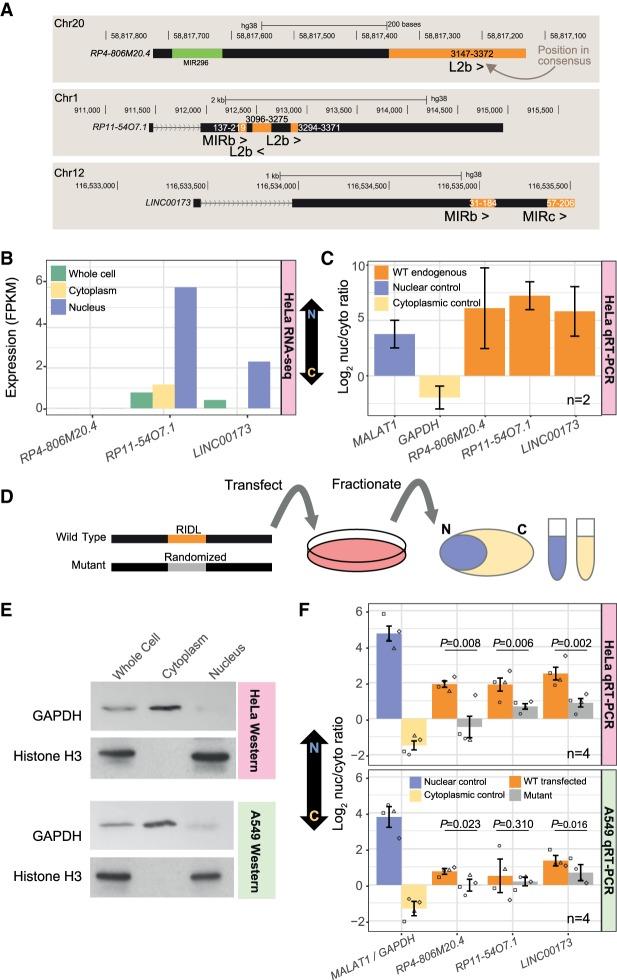 https://cdn.ncbi.nlm.nih.gov/pmc/blobs/cbd2/6360812/4315bd5d5d9a/208f07.jpg