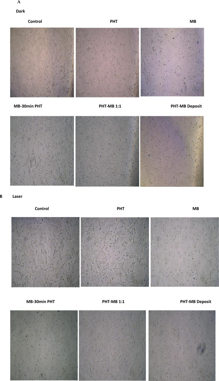 https://cdn.ncbi.nlm.nih.gov/pmc/blobs/cbd3/12219564/9f08a56a238f/41598_2025_5784_Fig4_HTML.jpg
