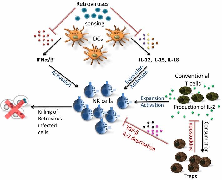 https://cdn.ncbi.nlm.nih.gov/pmc/blobs/cbd3/5100108/d6a36b8578be/12977_2016_311_Fig1_HTML.jpg