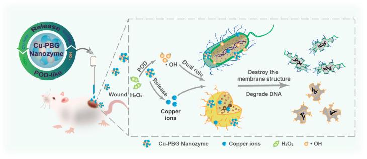 https://cdn.ncbi.nlm.nih.gov/pmc/blobs/cbd5/10487713/3ed32a0aeaa7/ijms-24-13342-g012.jpg