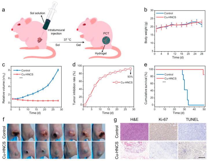 https://cdn.ncbi.nlm.nih.gov/pmc/blobs/cbd5/10487713/ea4a87ed4a4b/ijms-24-13342-g013.jpg