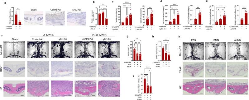 https://cdn.ncbi.nlm.nih.gov/pmc/blobs/cbd5/9262976/0daa1dd2f5b8/41467_2022_31646_Fig2_HTML.jpg