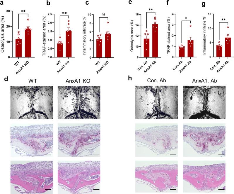https://cdn.ncbi.nlm.nih.gov/pmc/blobs/cbd5/9262976/46fc108e452c/41467_2022_31646_Fig3_HTML.jpg