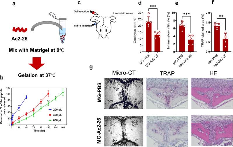 https://cdn.ncbi.nlm.nih.gov/pmc/blobs/cbd5/9262976/4fa6acb62919/41467_2022_31646_Fig8_HTML.jpg