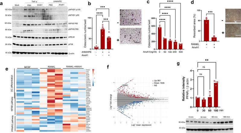 https://cdn.ncbi.nlm.nih.gov/pmc/blobs/cbd5/9262976/a82d8a995f4f/41467_2022_31646_Fig4_HTML.jpg