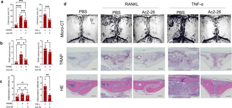 https://cdn.ncbi.nlm.nih.gov/pmc/blobs/cbd5/9262976/ab2968b9c7c7/41467_2022_31646_Fig7_HTML.jpg