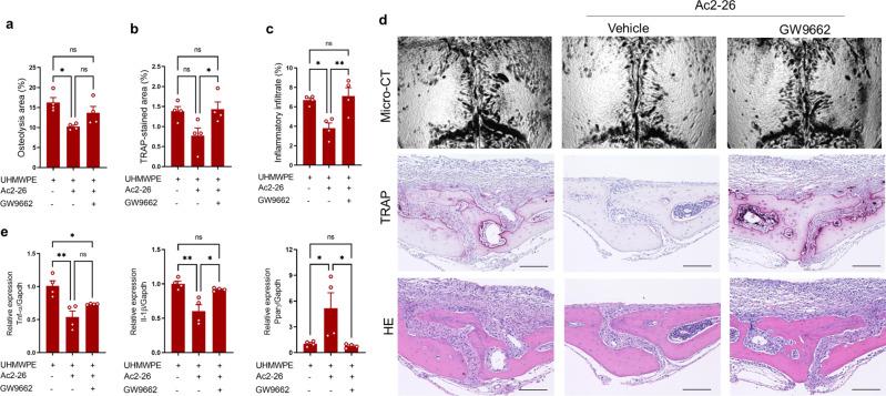 https://cdn.ncbi.nlm.nih.gov/pmc/blobs/cbd5/9262976/c1e0fb70cc43/41467_2022_31646_Fig6_HTML.jpg