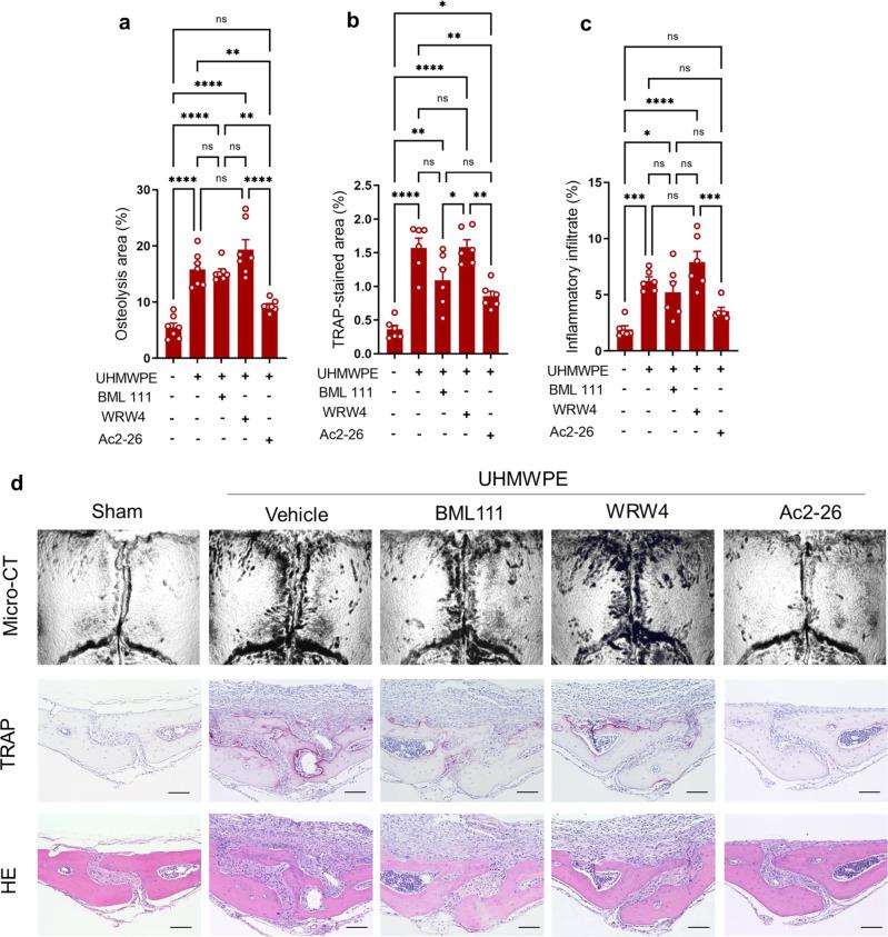 https://cdn.ncbi.nlm.nih.gov/pmc/blobs/cbd5/9262976/c2ec20d20160/41467_2022_31646_Fig5_HTML.jpg