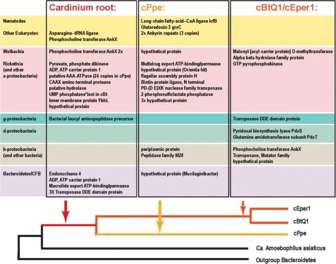 https://cdn.ncbi.nlm.nih.gov/pmc/blobs/cbdb/6232779/5ad4097a4026/fmicb-09-02482-g010.jpg