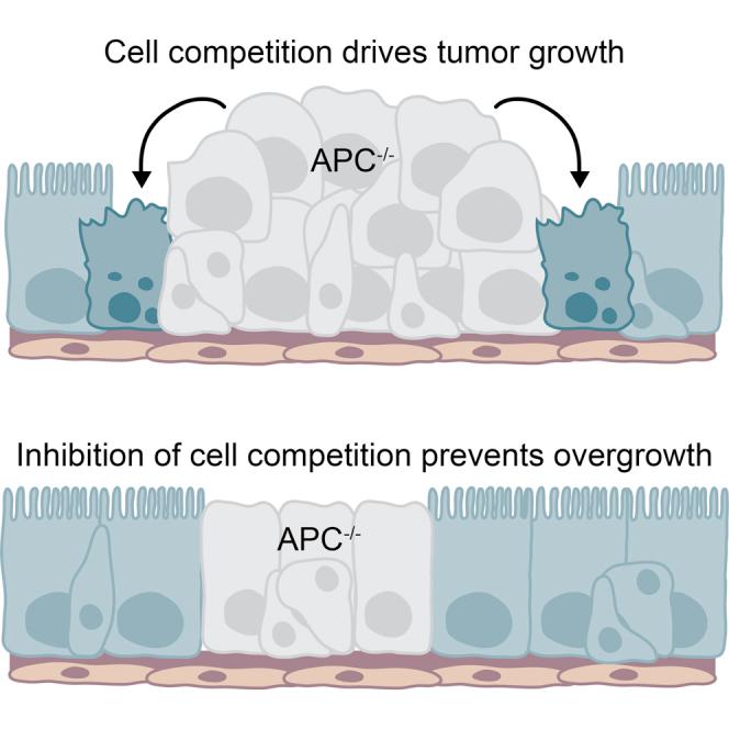 https://cdn.ncbi.nlm.nih.gov/pmc/blobs/cbdc/4771920/55e9cd12f9fe/fx1.jpg