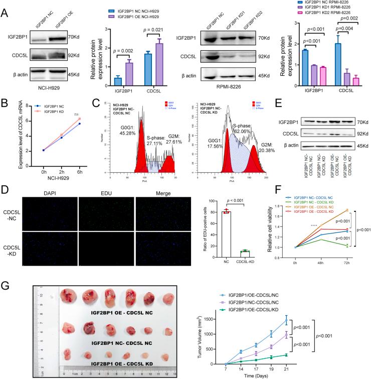 https://cdn.ncbi.nlm.nih.gov/pmc/blobs/cbdd/11554607/479d05fe7a83/gr4.jpg