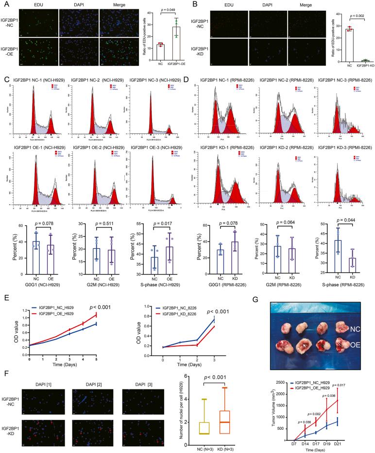 https://cdn.ncbi.nlm.nih.gov/pmc/blobs/cbdd/11554607/e80322eb830b/gr2.jpg