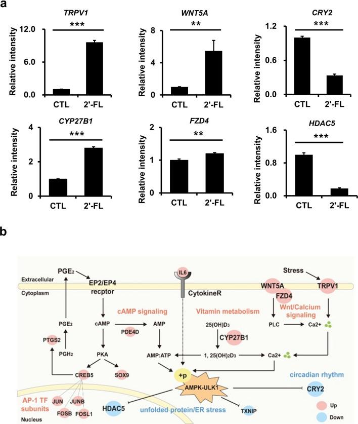 https://cdn.ncbi.nlm.nih.gov/pmc/blobs/cbdd/9385628/4e8b749cf077/41598_2022_17896_Fig2_HTML.jpg