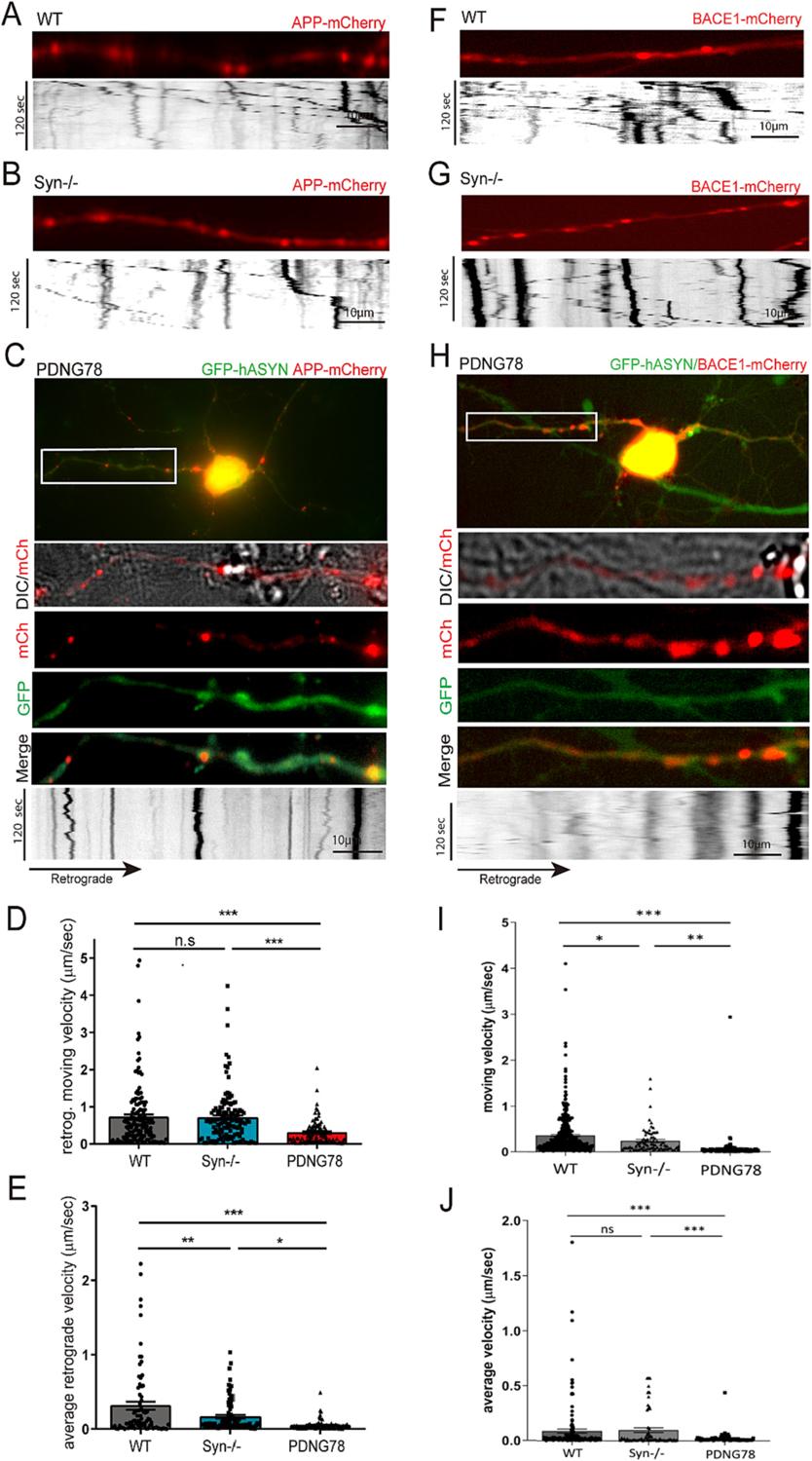 https://cdn.ncbi.nlm.nih.gov/pmc/blobs/cbde/10754494/08e32c10eb00/nihms-1935568-f0001.jpg