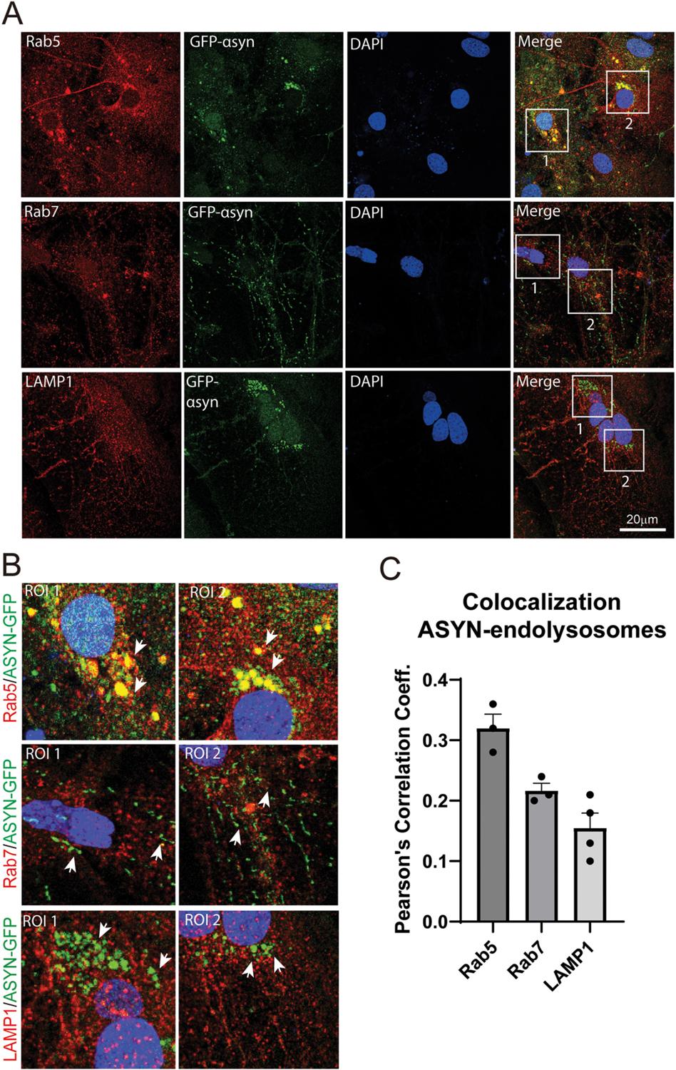 https://cdn.ncbi.nlm.nih.gov/pmc/blobs/cbde/10754494/1b7328abca2c/nihms-1935568-f0003.jpg