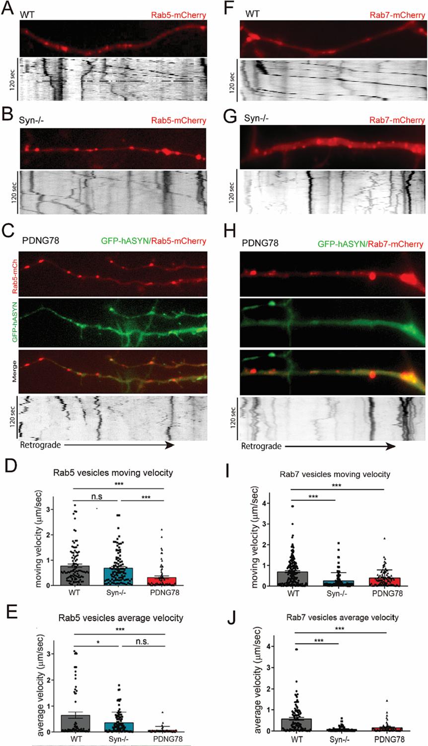 https://cdn.ncbi.nlm.nih.gov/pmc/blobs/cbde/10754494/53fe324bf9ca/nihms-1935568-f0002.jpg