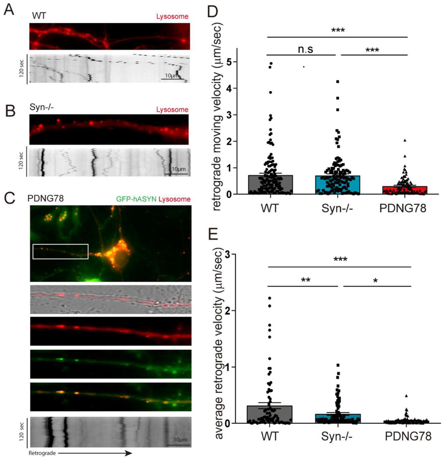 https://cdn.ncbi.nlm.nih.gov/pmc/blobs/cbde/10754494/96179f11500b/nihms-1935568-f0004.jpg