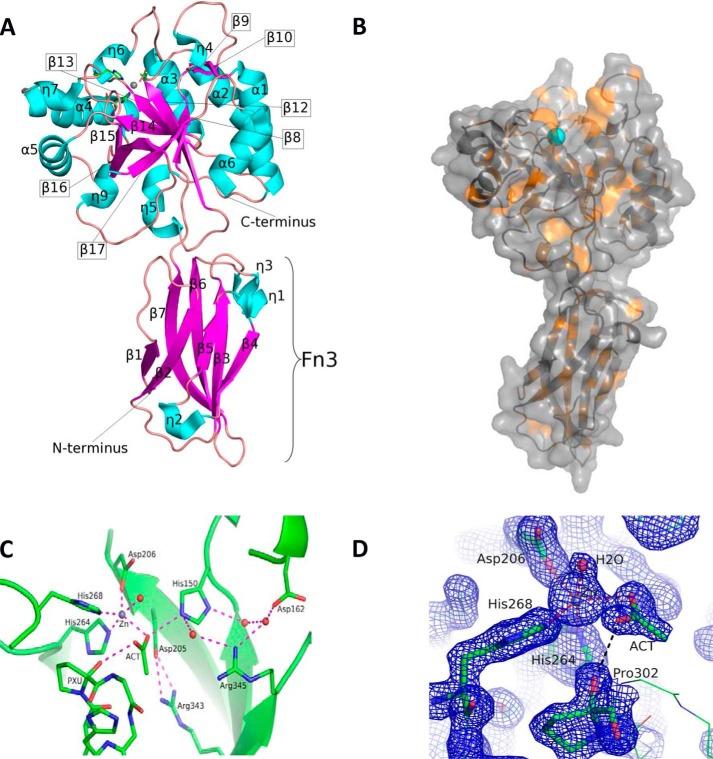 https://cdn.ncbi.nlm.nih.gov/pmc/blobs/cbde/4505593/035e0221a5d6/zbc0241516470002.jpg