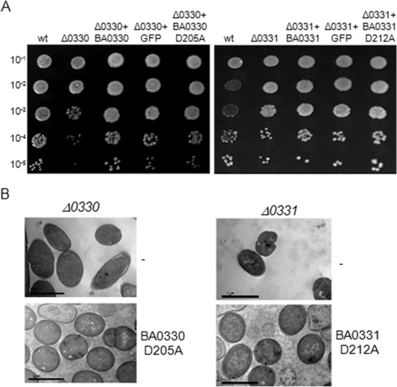 https://cdn.ncbi.nlm.nih.gov/pmc/blobs/cbde/4505593/36bf2bdf2d8d/zbc0241516470009.jpg