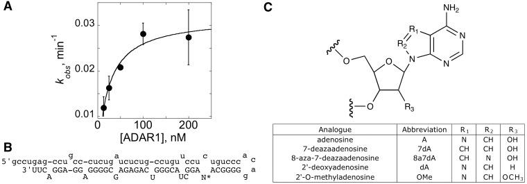 https://cdn.ncbi.nlm.nih.gov/pmc/blobs/cbdf/3479202/bf413de3260d/gks752f3p.jpg