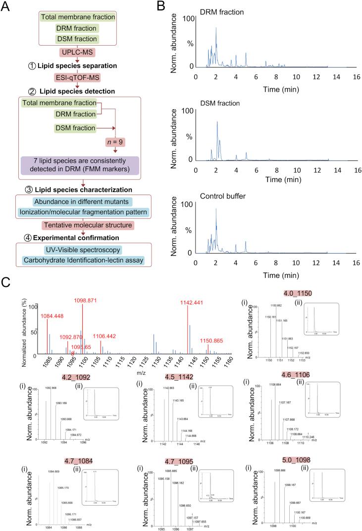 https://cdn.ncbi.nlm.nih.gov/pmc/blobs/cbdf/5720476/17ae5d401bb0/figs1.jpg