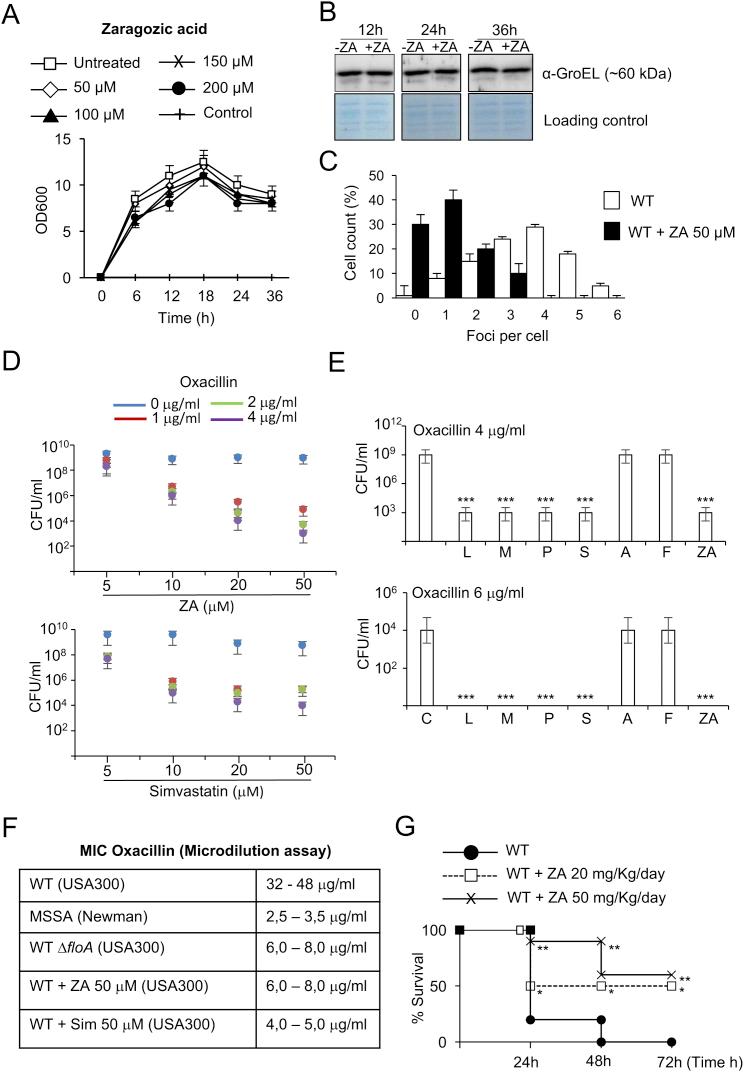 https://cdn.ncbi.nlm.nih.gov/pmc/blobs/cbdf/5720476/193d95ef5997/figs7.jpg
