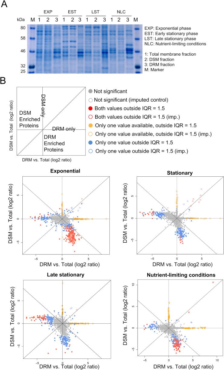 https://cdn.ncbi.nlm.nih.gov/pmc/blobs/cbdf/5720476/20edffafedc1/figs5.jpg