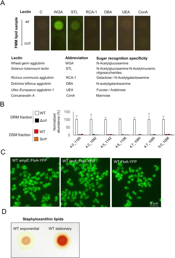 https://cdn.ncbi.nlm.nih.gov/pmc/blobs/cbdf/5720476/71ce5e80d472/figs2.jpg