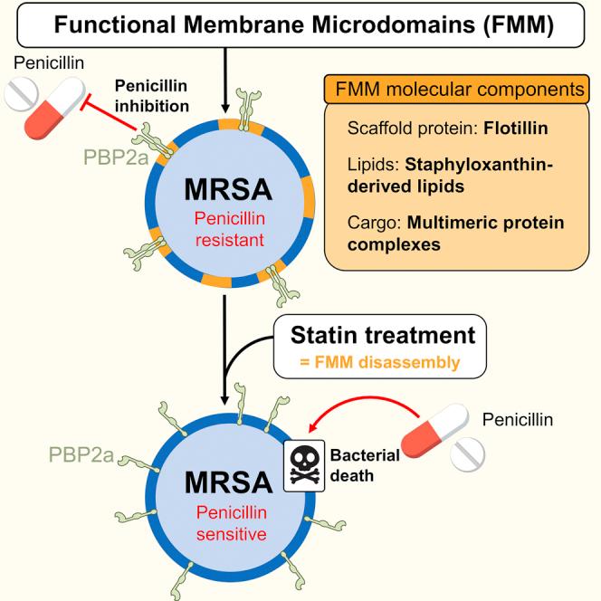 https://cdn.ncbi.nlm.nih.gov/pmc/blobs/cbdf/5720476/798bf6f00ff0/fx1.jpg