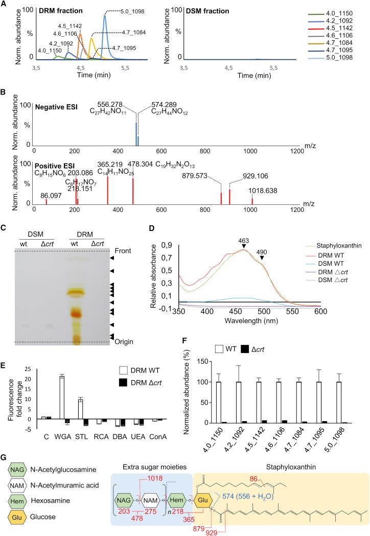 https://cdn.ncbi.nlm.nih.gov/pmc/blobs/cbdf/5720476/8e8631e2f01e/gr1.jpg