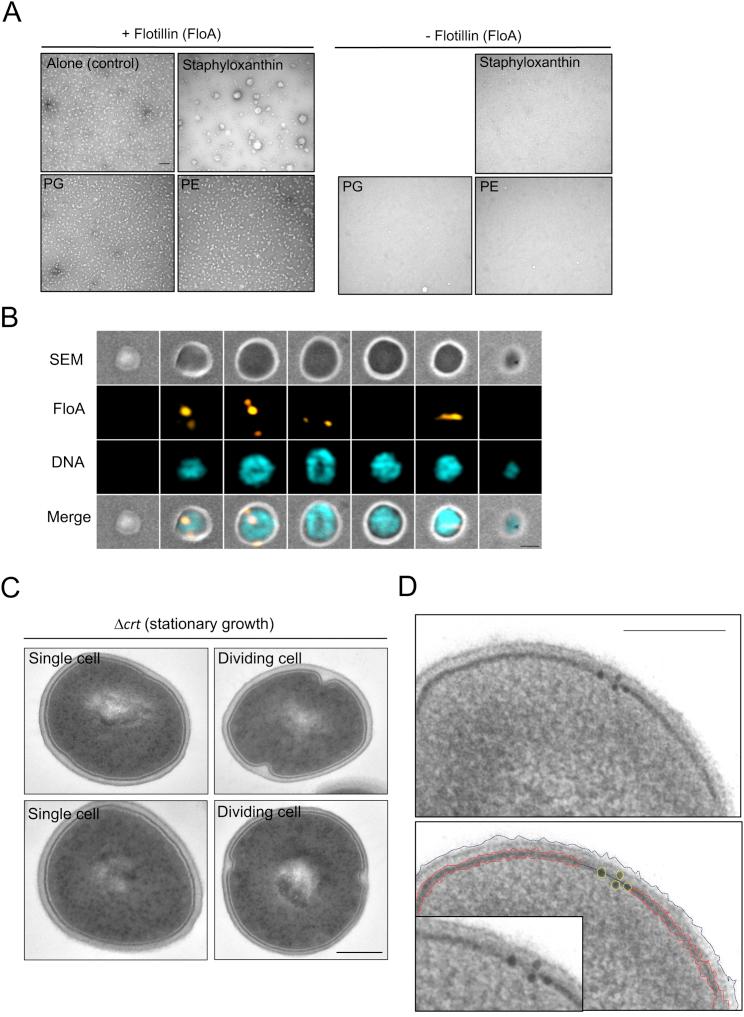 https://cdn.ncbi.nlm.nih.gov/pmc/blobs/cbdf/5720476/d41f29aadeed/figs4.jpg