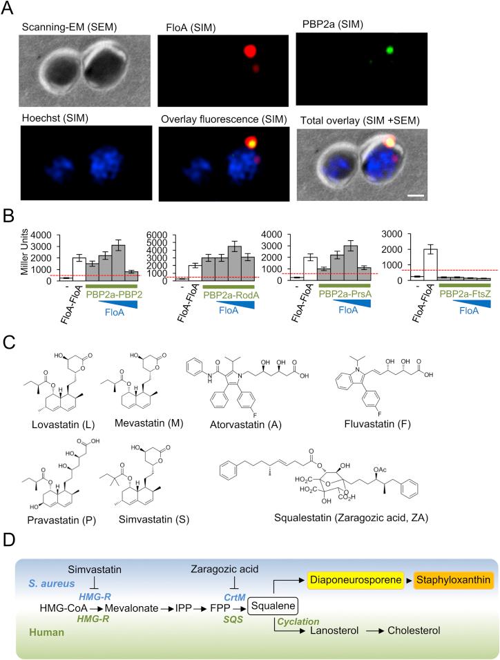 https://cdn.ncbi.nlm.nih.gov/pmc/blobs/cbdf/5720476/deb4e6442053/figs6.jpg