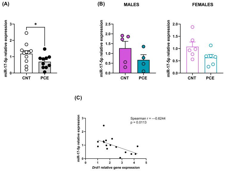 https://cdn.ncbi.nlm.nih.gov/pmc/blobs/cbe1/12191062/081d44d63194/cells-14-00904-g005.jpg