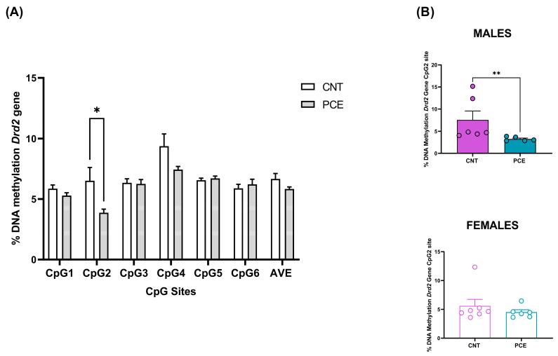 https://cdn.ncbi.nlm.nih.gov/pmc/blobs/cbe1/12191062/67ad4c2eef61/cells-14-00904-g003.jpg