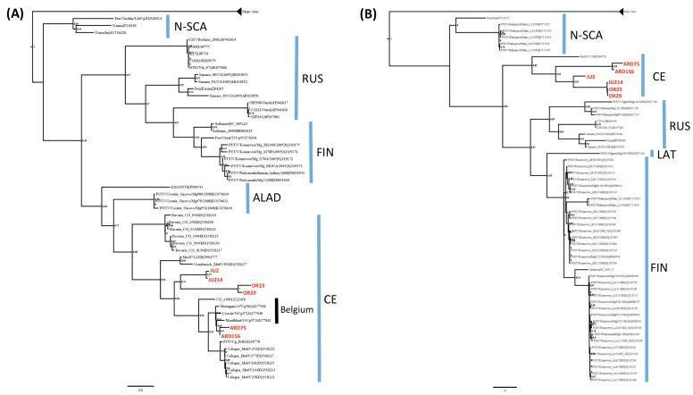 https://cdn.ncbi.nlm.nih.gov/pmc/blobs/cbe1/4632392/894cb7113152/viruses-07-02884-g003.jpg