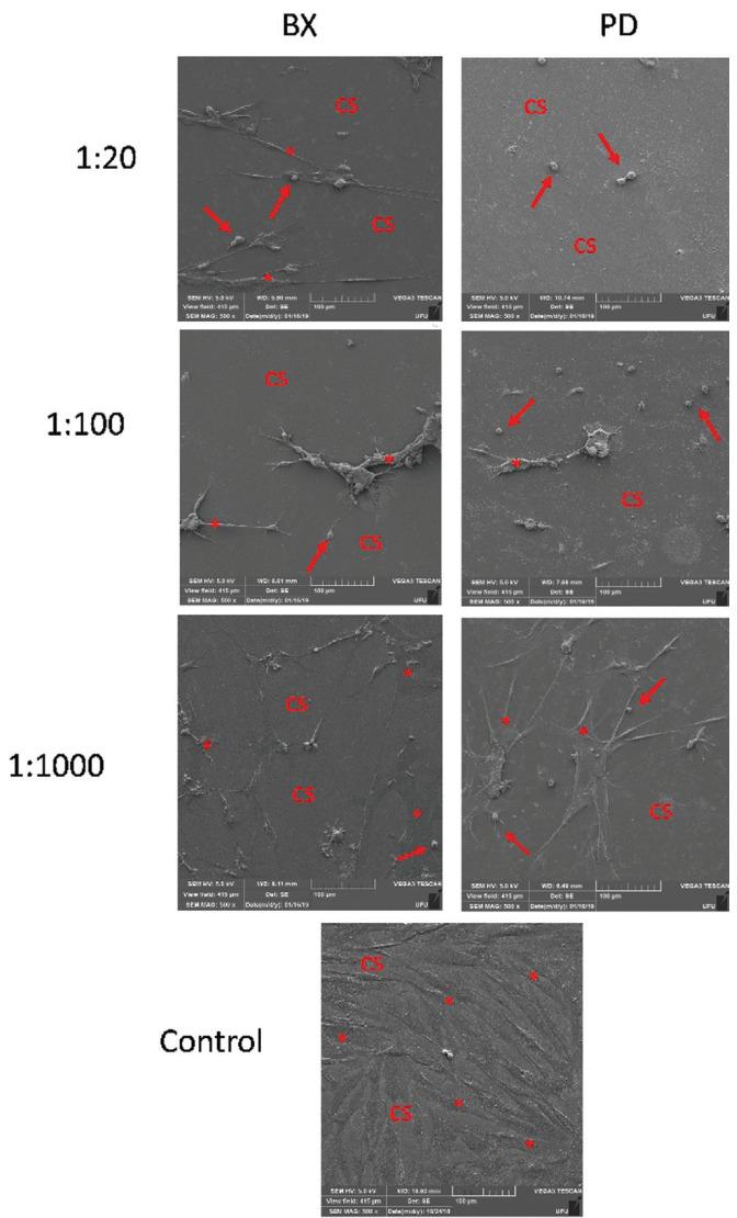 https://cdn.ncbi.nlm.nih.gov/pmc/blobs/cbe1/8412812/57ea8140917b/jced-13-e826-g001.jpg