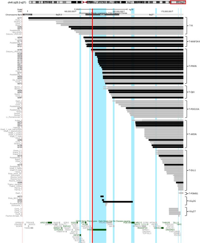 https://cdn.ncbi.nlm.nih.gov/pmc/blobs/cbe4/10024851/aa4832fd6dbb/13023_2023_2658_Fig1_HTML.jpg