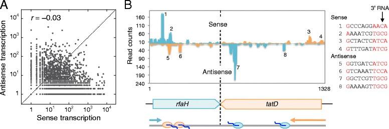https://cdn.ncbi.nlm.nih.gov/pmc/blobs/cbe4/4457086/b92324fca386/13059_2015_666_Fig4_HTML.jpg