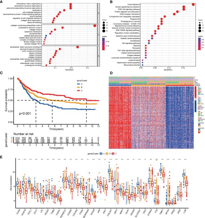 https://cdn.ncbi.nlm.nih.gov/pmc/blobs/cbe5/8901990/cde9cb5e043f/fimmu-13-843077-g004.jpg