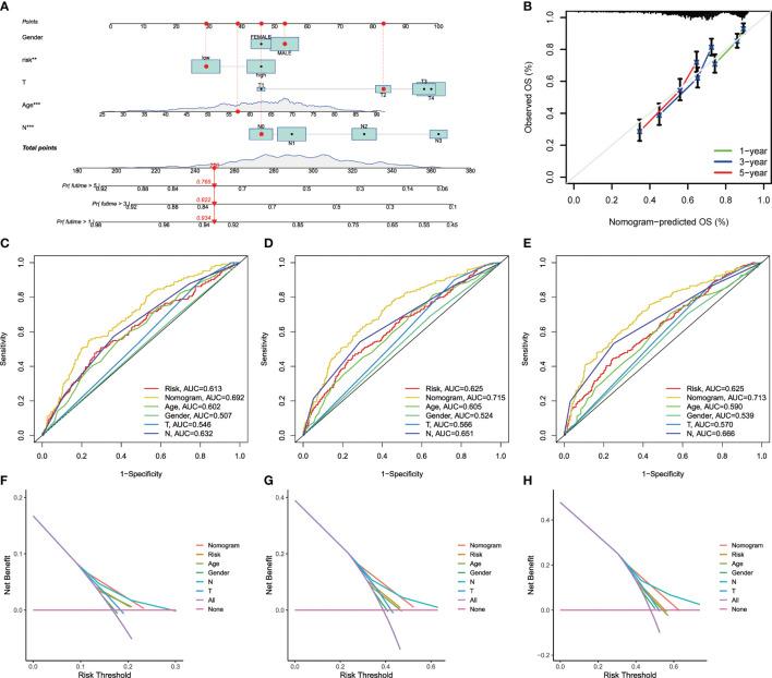 https://cdn.ncbi.nlm.nih.gov/pmc/blobs/cbe5/8901990/ead382d84301/fimmu-13-843077-g006.jpg