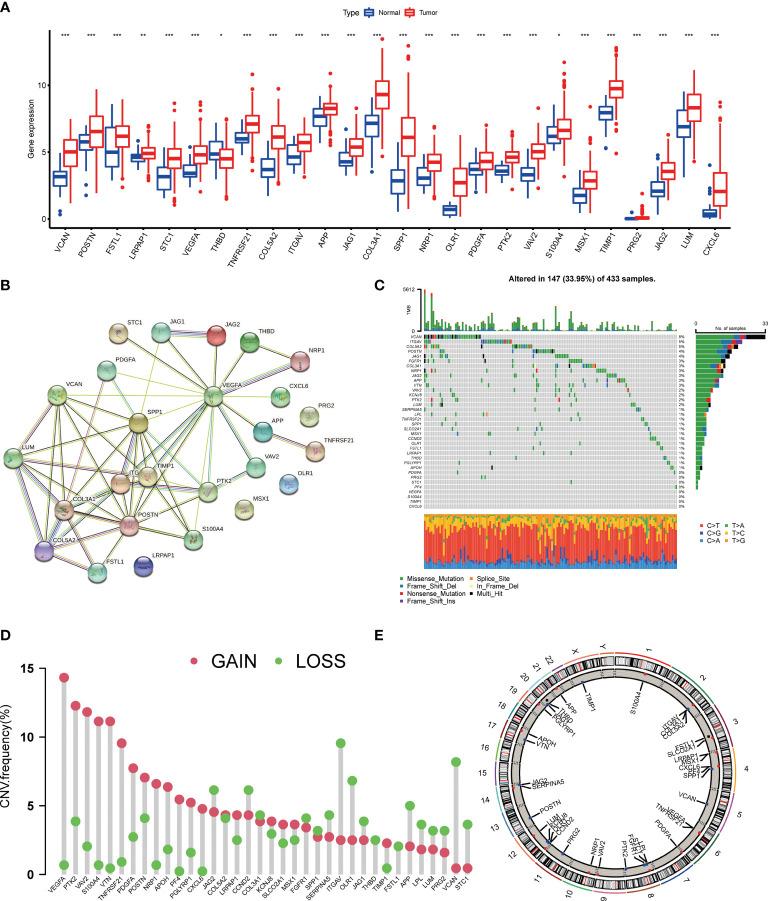 https://cdn.ncbi.nlm.nih.gov/pmc/blobs/cbe5/8901990/f8faa89edcde/fimmu-13-843077-g001.jpg