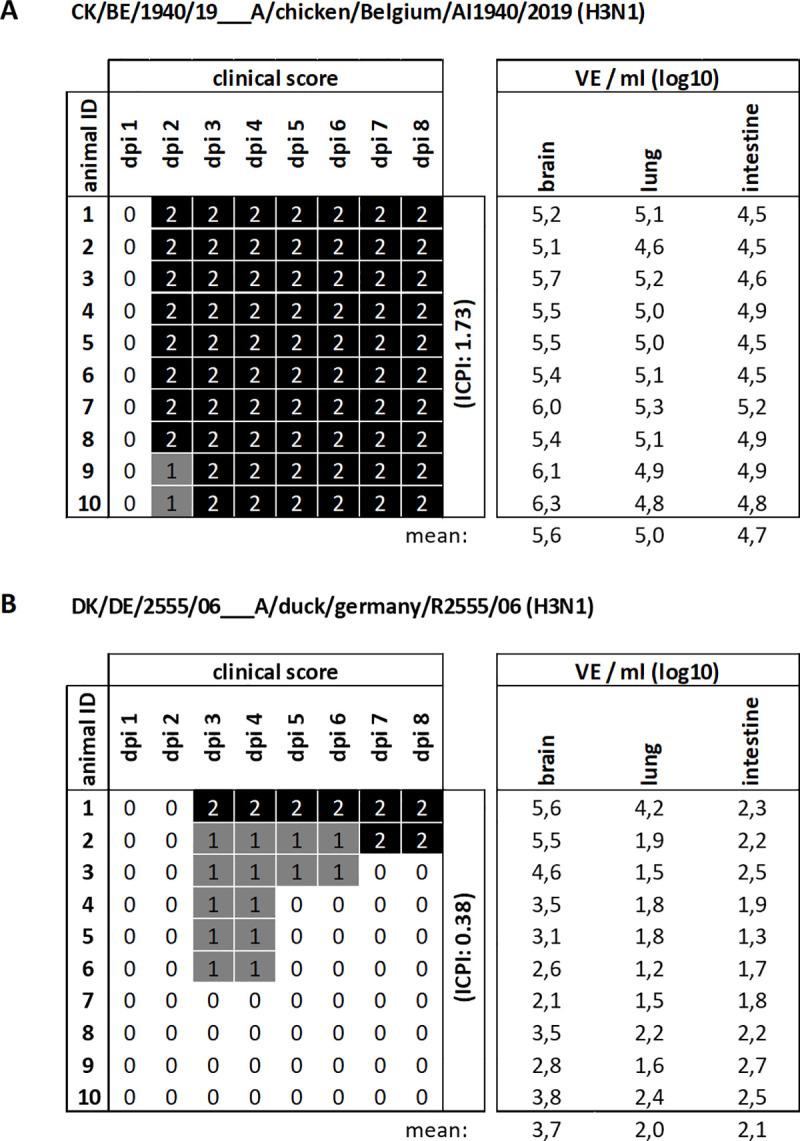 https://cdn.ncbi.nlm.nih.gov/pmc/blobs/cbe6/8118554/a4fb7297e539/ppat.1009490.g002.jpg