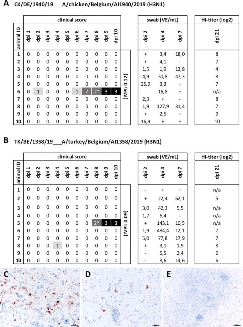 https://cdn.ncbi.nlm.nih.gov/pmc/blobs/cbe6/8118554/b6f930a763aa/ppat.1009490.g001.jpg