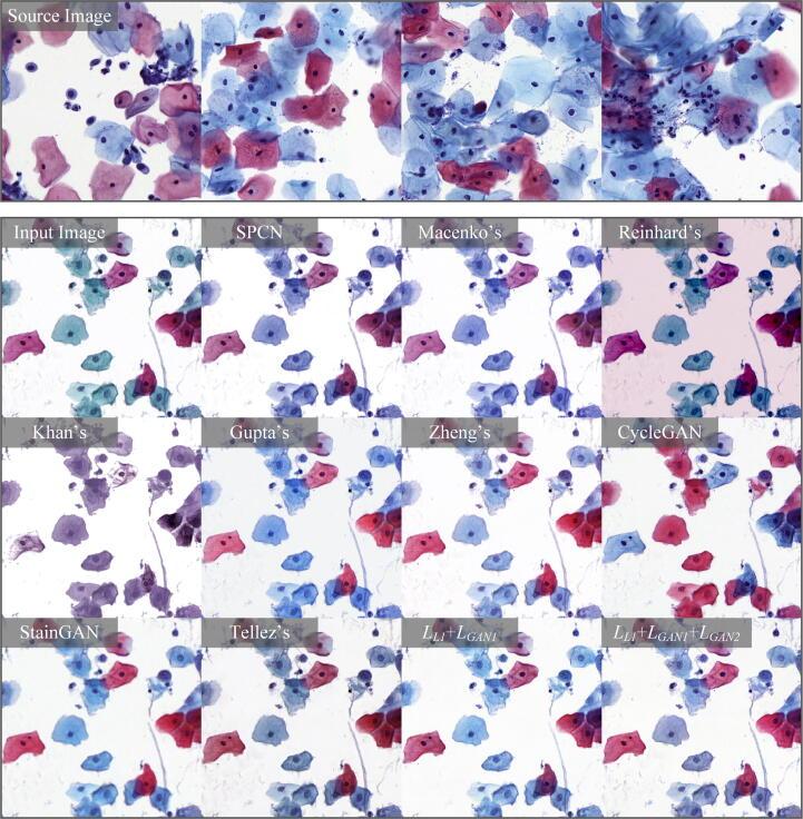 https://cdn.ncbi.nlm.nih.gov/pmc/blobs/cbe7/8273362/0d575f61e2a9/gr4.jpg