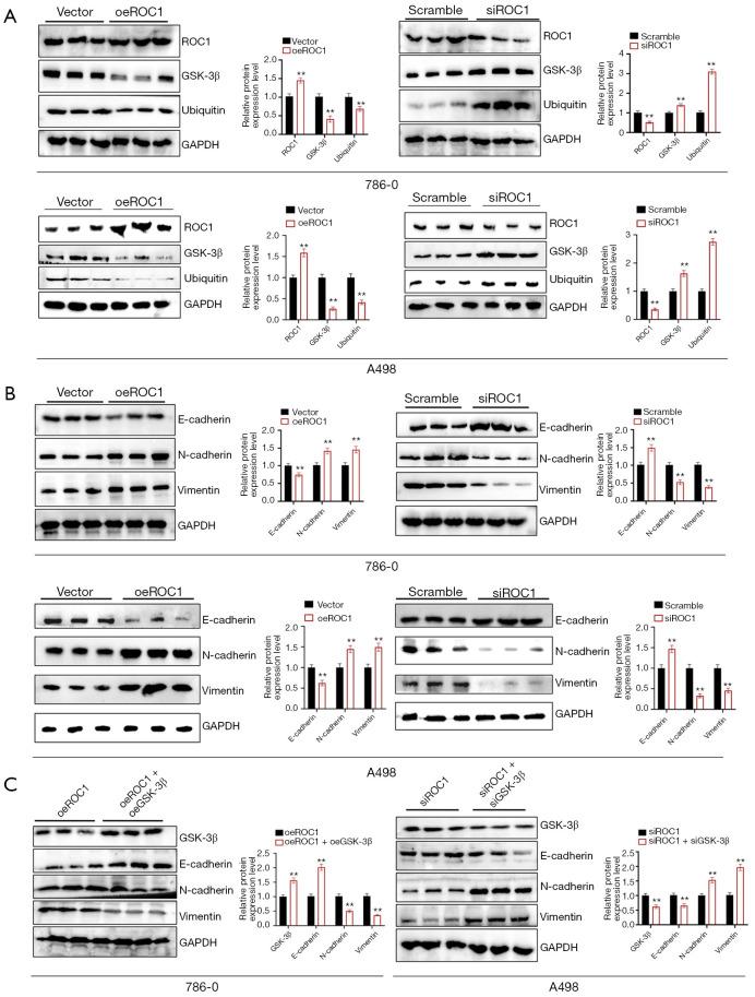 https://cdn.ncbi.nlm.nih.gov/pmc/blobs/cbe8/12076244/06affd178732/tau-14-04-974-f3.jpg