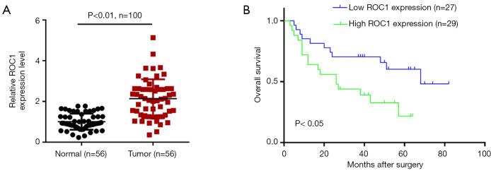 https://cdn.ncbi.nlm.nih.gov/pmc/blobs/cbe8/12076244/0b69ce403a96/tau-14-04-974-f1.jpg