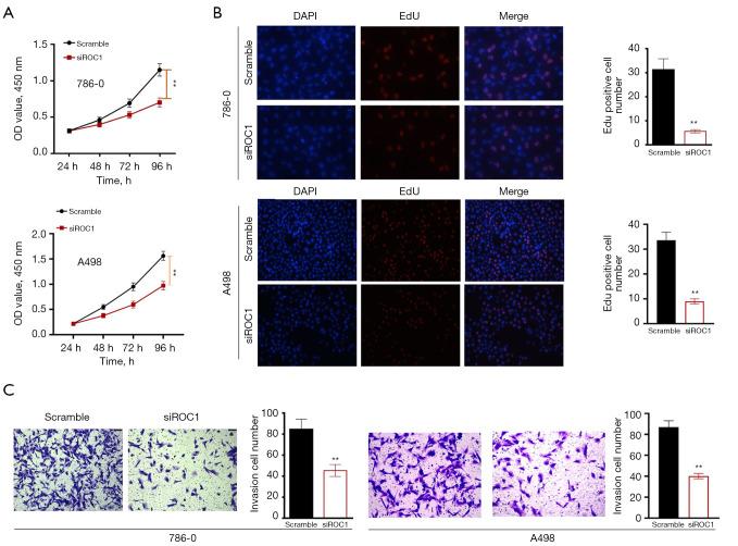 https://cdn.ncbi.nlm.nih.gov/pmc/blobs/cbe8/12076244/548997528769/tau-14-04-974-f2.jpg