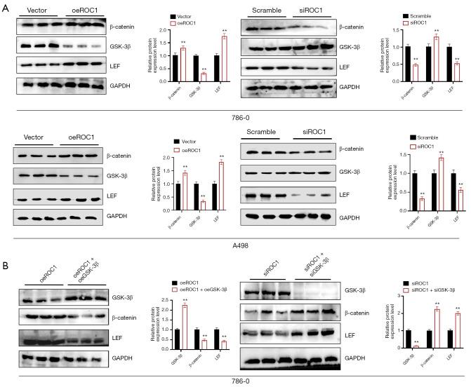https://cdn.ncbi.nlm.nih.gov/pmc/blobs/cbe8/12076244/92dacbbfe496/tau-14-04-974-f4.jpg