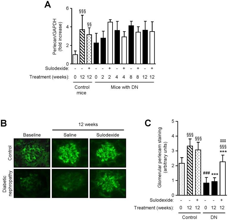 https://cdn.ncbi.nlm.nih.gov/pmc/blobs/cbe8/3551764/0b376bdb69fd/pone.0054501.g004.jpg