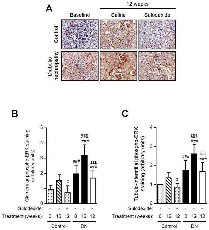 https://cdn.ncbi.nlm.nih.gov/pmc/blobs/cbe8/3551764/646acac8b932/pone.0054501.g007.jpg